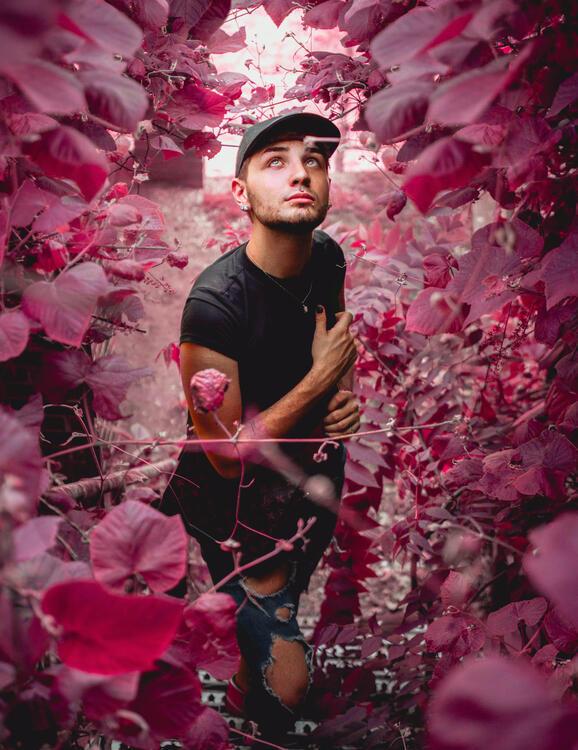 boy surrounded by pink plants